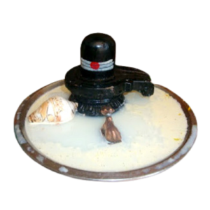 1008 Mahamrityunjaya Japan and Mahanyasa Ekadasa Rudrabhishekam