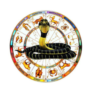 Kala Sarpa Dosha Nivarana