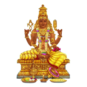 Job Aakarshana Bagalamukhi puja